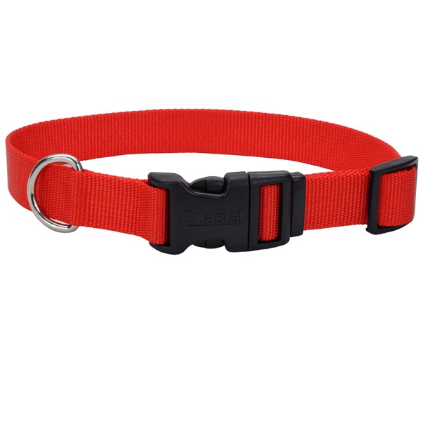 Adjustable Dog Collars, Stylish Pet Accessories