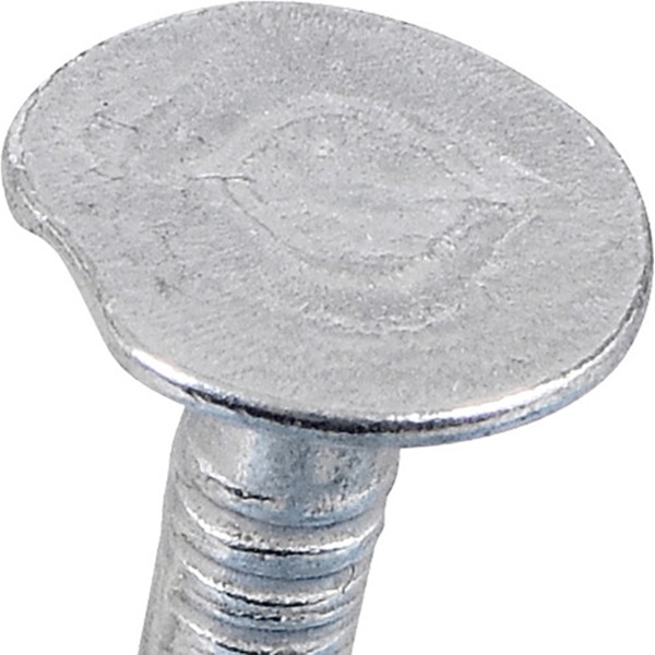 Roofing Nails, Fas-N-Tite, Electro-Galvanized, 7/8 in, 1 lb, - 3