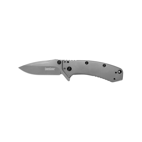 Kershaw Cryo 1555TI Pocket Knife, 2-3/4 in L Blade, Steel Blade, Gray Handle - 1