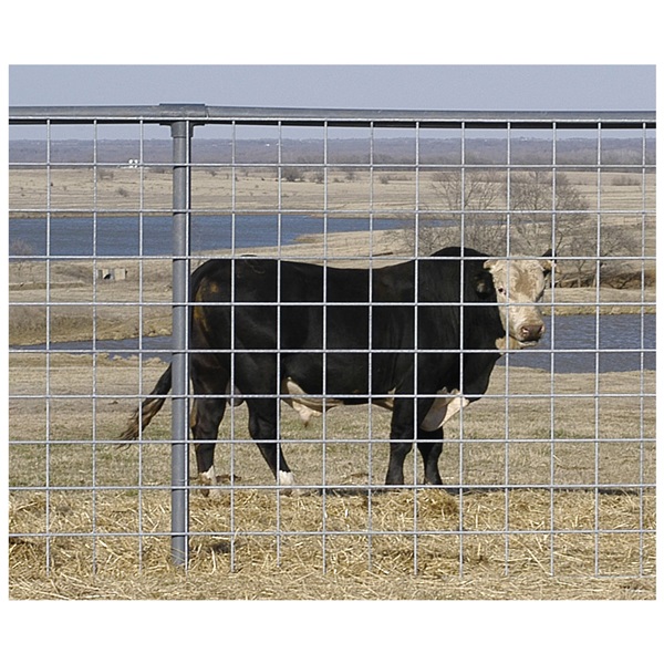 0065-5 Bull Panel, 60 in H, 1 ga Gauge, Galvanized
