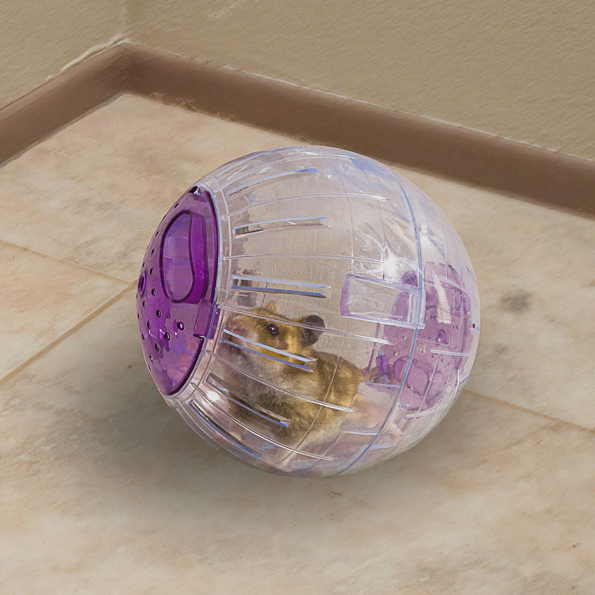 Ware 03261 Roll-N-Around Ball, Gerbils, Hamsters, Mice, Pet Rats, M, Clear