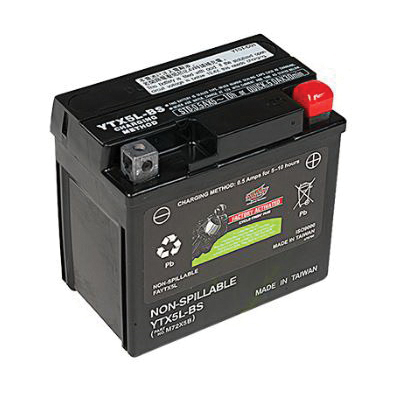 Interstate Batteries FAYTX5L Wet Battery, AGM, 12 V Battery, 4 Ah