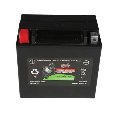 INTERSTATE BATTERIES FAYTX14
