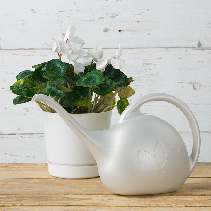 NOVELTY 30602 Watering Can, 1/2 gal Can, Plastic, White, Pearlescent