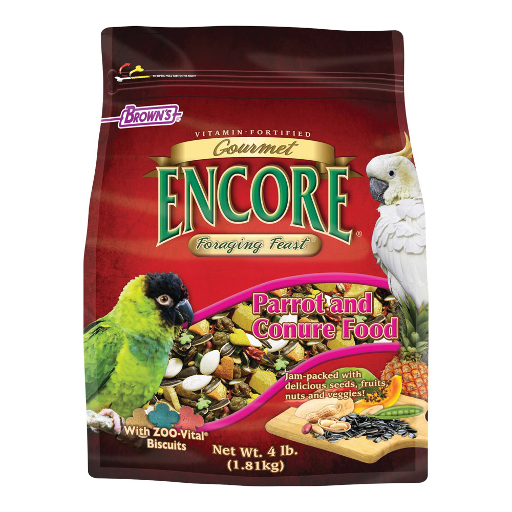 Encore 54045 Gourmet Foraging Feast Bird Food, 4 lb Pack - 2