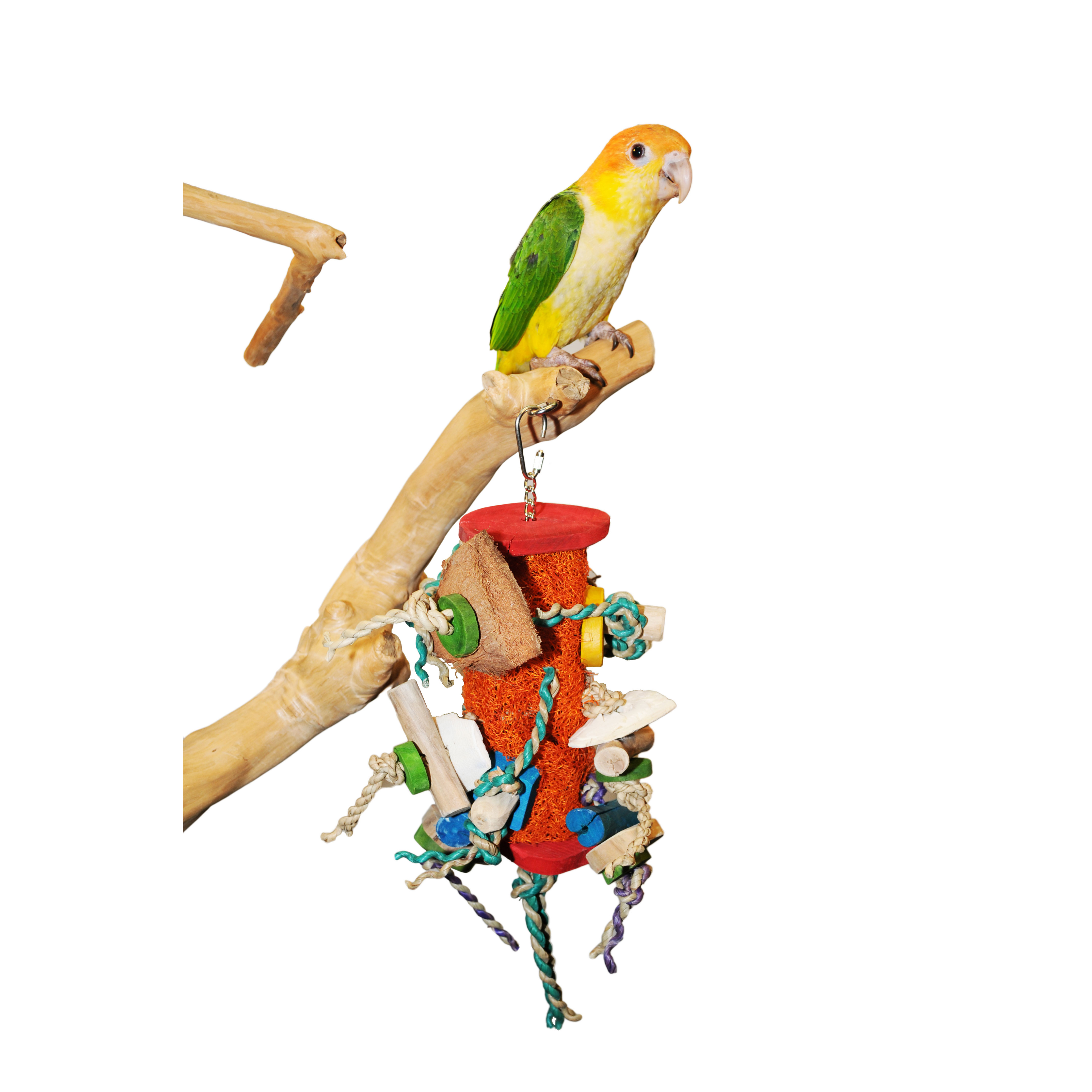 a&e HB46575 Fun Spongy Bird Toy, M, Bamboo/Coconut/Cuttlebone/Loofa/Wood, Assorted - 3