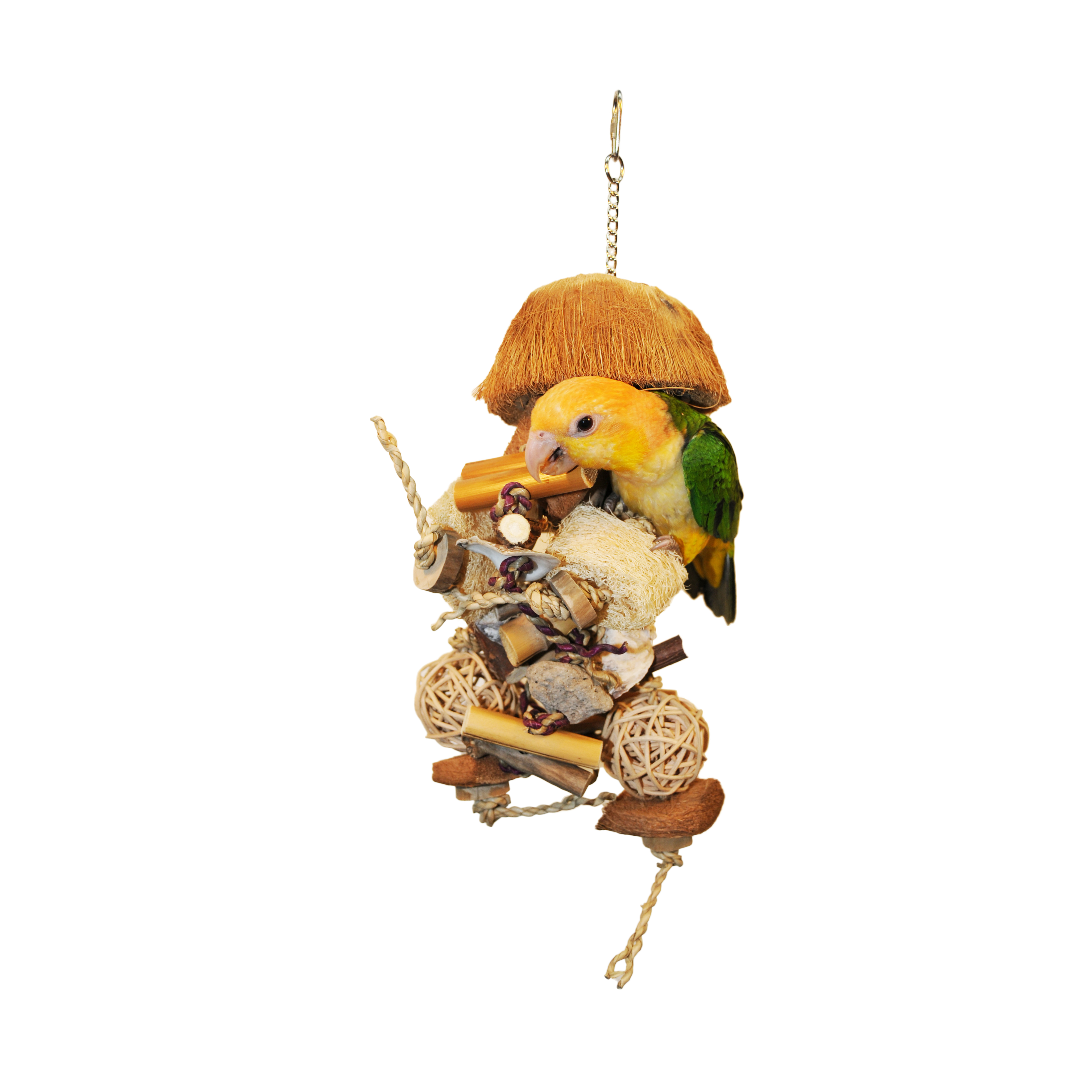 a&e HB46553 Java Bush Bird Toy, S, Java Wood, Multi-Color - 2