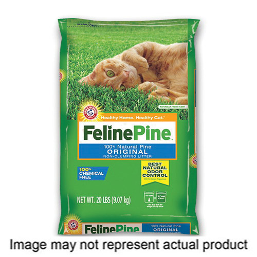 Feline Pine 81559