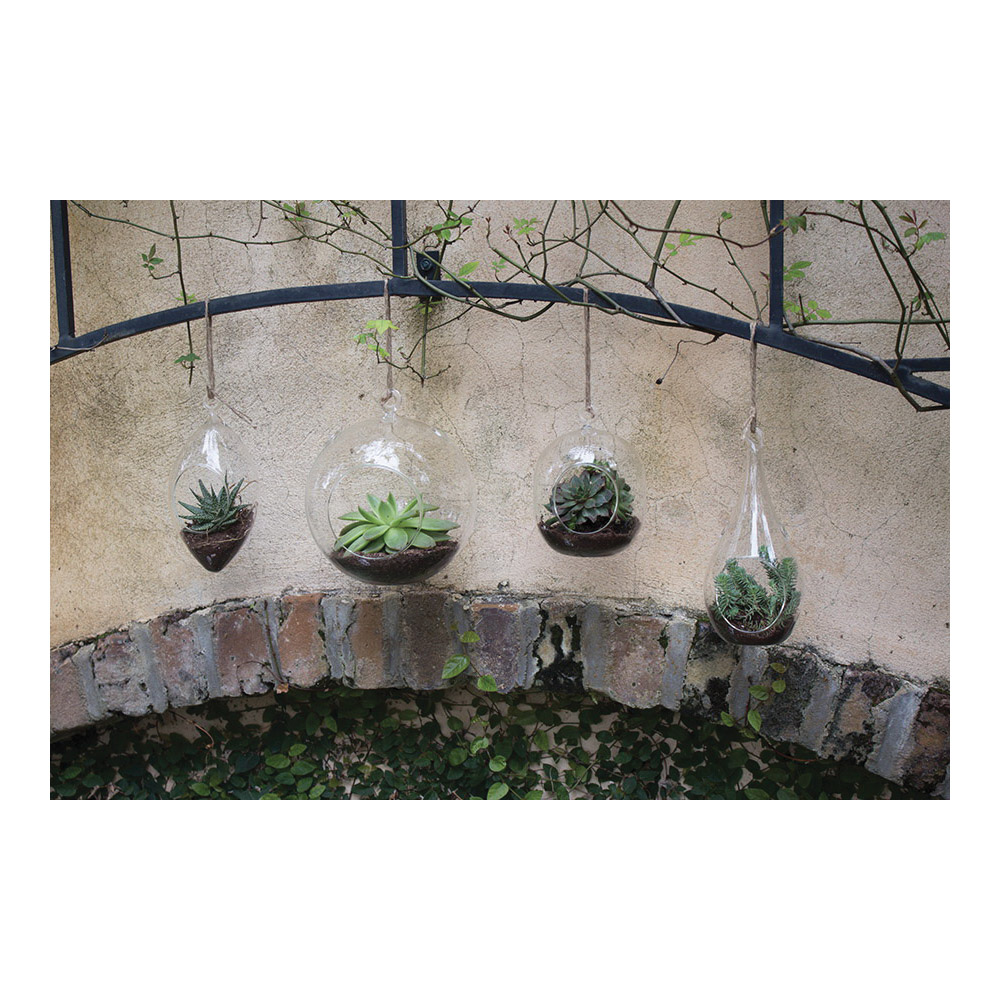 Syndicate Home & Garden 3753-06-09 Round Hanging Terrarium, Glass, Crystal