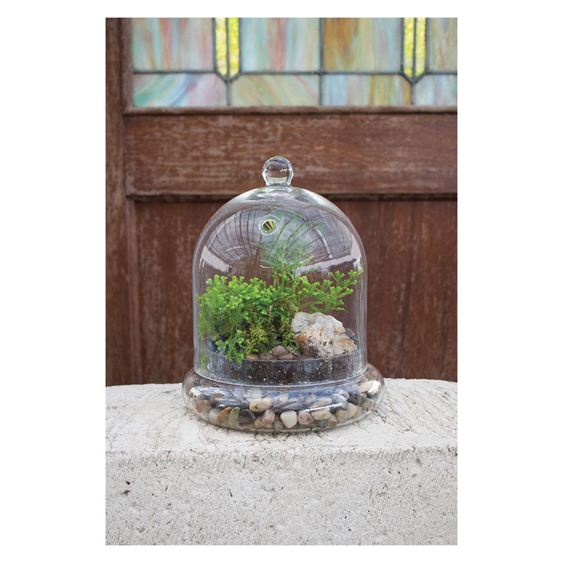 Syndicate Home & Garden 3776-04-09 Terrarium Cloche, Glass, Crystal - 2