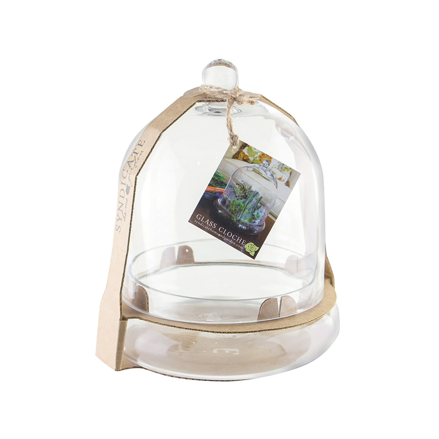 Syndicate Home & Garden 3776-04-09 Terrarium Cloche, Glass, Crystal - 3