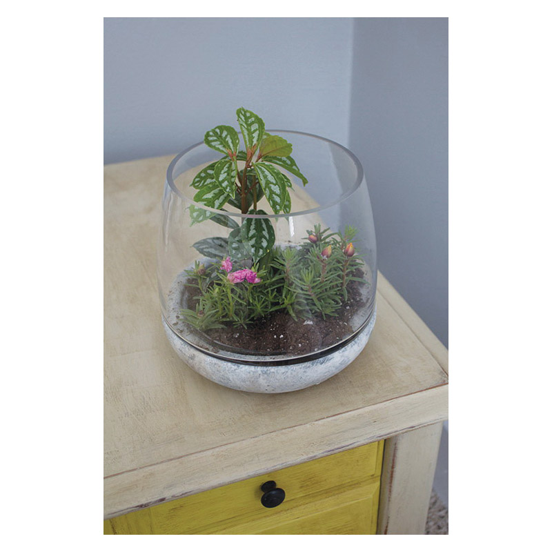 Syndicate Home & Garden 3783-06-09 Terrarium, Cement/Glass, Crystal - 2