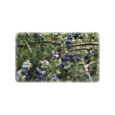 Dalen Bird-X BN3 Protect Net, 28 in L, 28 in W, 5/8 in Mesh, Polypropylene
