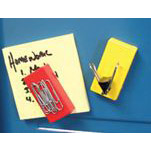 Magnet Source 07276 Hold Everything Magnet, 2 in L, 1 in W, Red/Yellow - 2