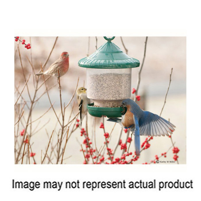 Songbird ESSENTIALS SE7012