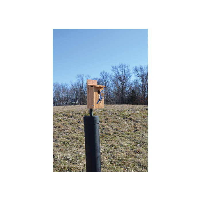 Songbird ESSENTIALS SETC101