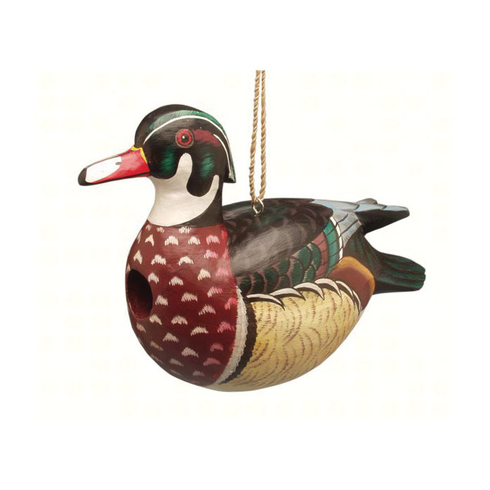 Songbird ESSENTIALS SE3880056