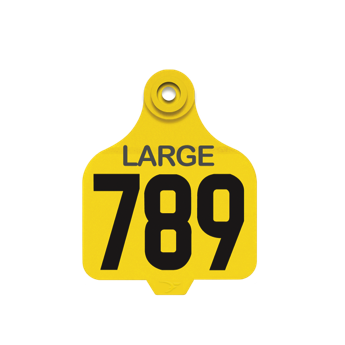  - 2