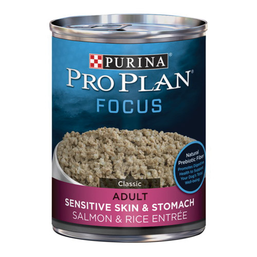 Pro Plan FOCUS 198-633-15 Dog Food, Wet, Rice, Salmon Flavor, 13 oz
