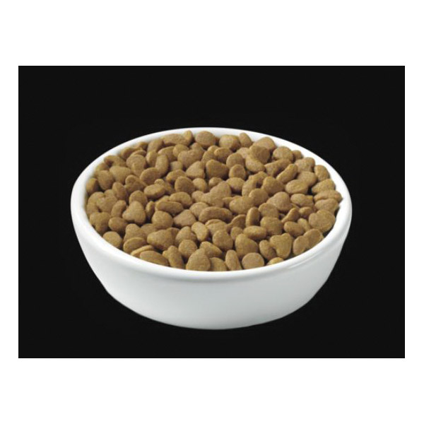 FOCUS 13128 Cat Food, Dry, Chicken, Rice Flavor, 7 lb
