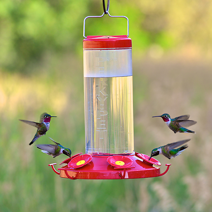 Hummingbird Feeder, Perky-Pet, 48 fl-oz Nectar Capacity, 6-Port/Perch, Plastic - 2