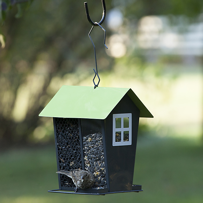 Perky-Pet 420 Bird Feeder, 2 lb, Mixed Seed, Peanut Pieces, Black Oil Sunflower Seed, Safflower Seed, 4-Port/Perch