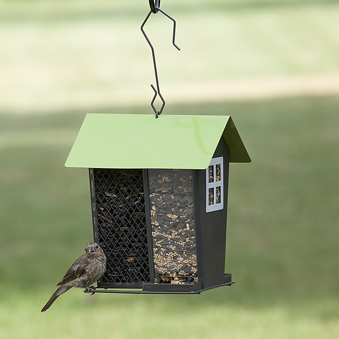 Perky-Pet 420 Bird Feeder, 2 lb, Mixed Seed, Peanut Pieces, Black Oil Sunflower Seed, Safflower Seed, 4-Port/Perch