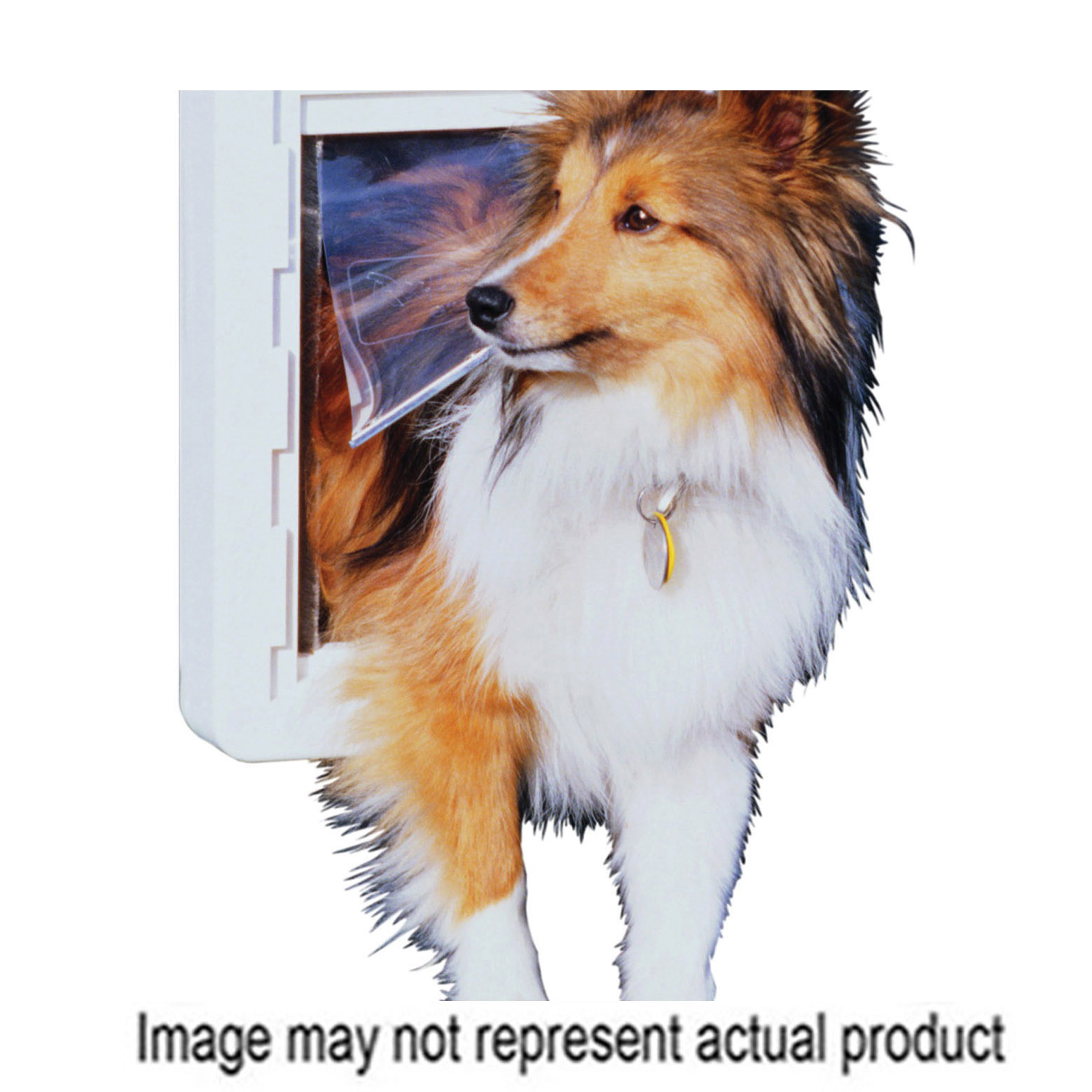 Ideal Pet Products RWS