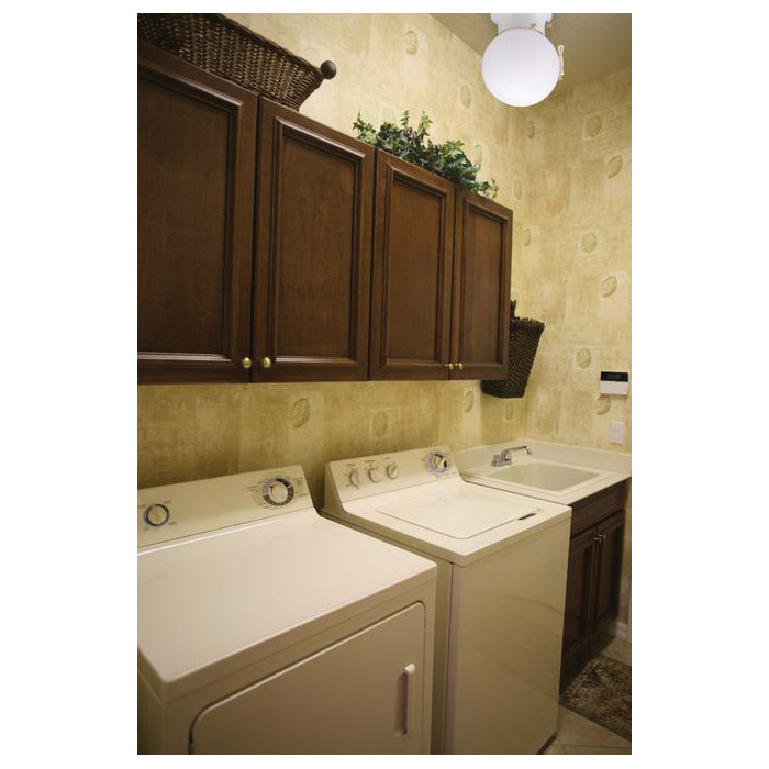 Westinghouse 6668000 Ceiling Fixture with Pull Chain, 1-Lamp, White Fixture