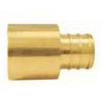 Valves APXFS1210PK Pipe Adapter, 1/2 in, Barb x FPT, Brass, 200 psi Pressure