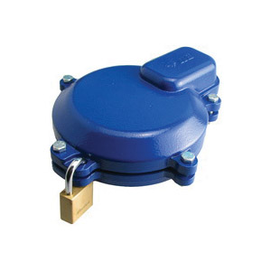 Well Locking Cap, Boshart, 6 in, FPT, Cast Iron, Powdered, Blue - 2
