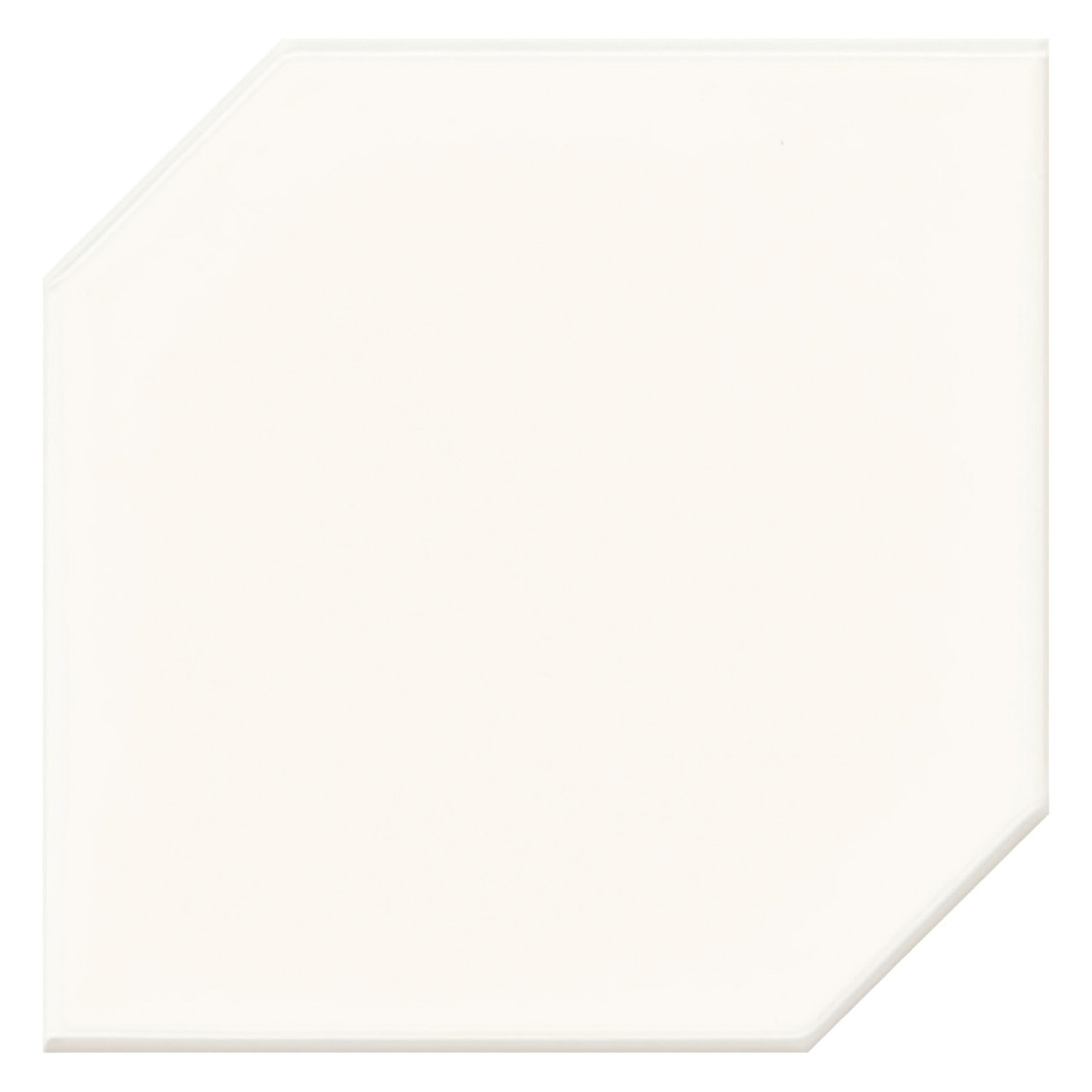 Daltile RS3066HEX1P