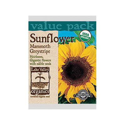 Lake Valley Seed 4441