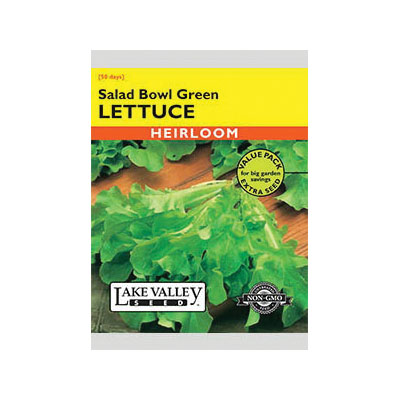 Lake Valley Seed 486 Salad Bowl Green Lettuce Seeds Pack, Lettuce, Lactuca Sativa Pack - 1
