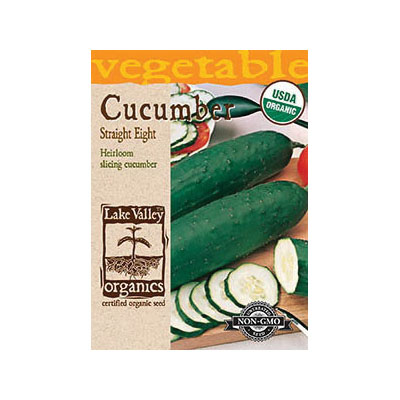 Organic Straight Eight Cucumber - Cucumis sativus Non-GMO Seeds