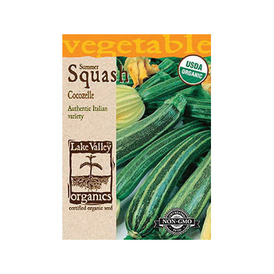 Lake Valley Seed 4140 Cocozelle-Organic Squash Seeds, Squash, Cucurbita Pepo, Summer Harvest - 1
