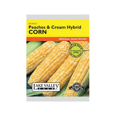 Lake Valley Seed 4182