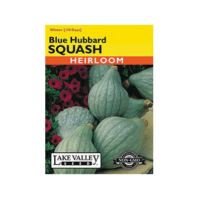 Lake Valley Seed 3382 Blue Hubbard Squash Seeds, Squash, Cucurbita Maxima, Winter Harvest - 1