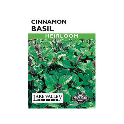 Lake Valley Seed 398 Cinnamon Basil Seeds, Basil, Ocimum Basilicum, Summer Harvest - 1