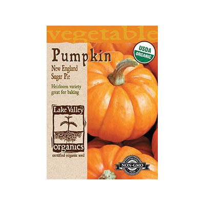 Lake Valley Seed 3990 New England Sugar Pie-Organic Pumpkin Seeds, Pumpkin, Cucurbita Pepo - 1