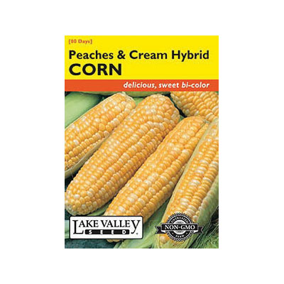 Lake Valley Seed 106