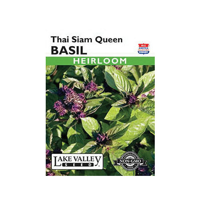 Lake Valley Seed 1443 Thai Siam Queen Basil Seeds, Basil, Ocimum Basilicum - 1