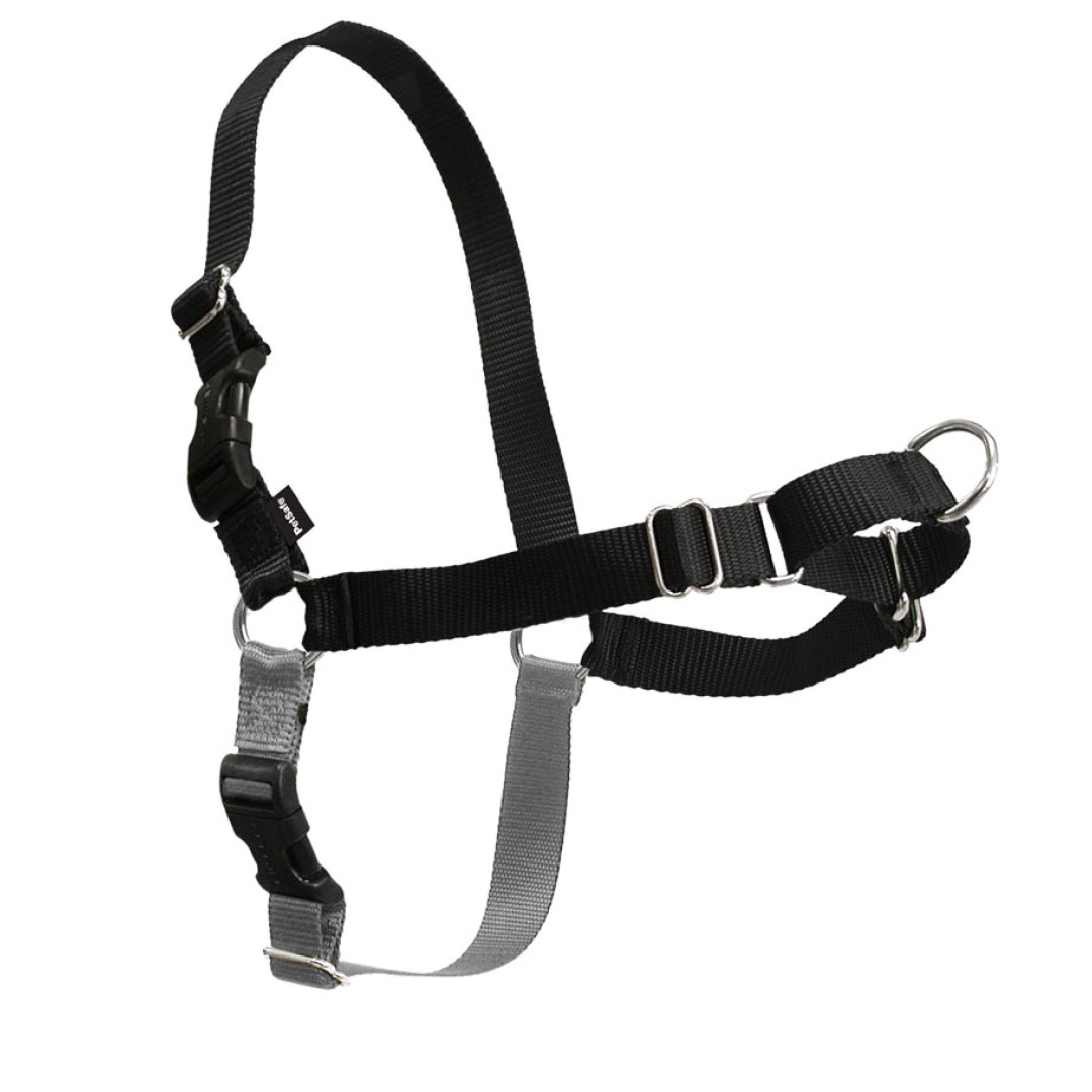PetSafe Easy Walk EWH-HC-M-BLK Dog Harness, 25 to 50 lb, Fastening Method: Quick-Snap, M Harness, Black