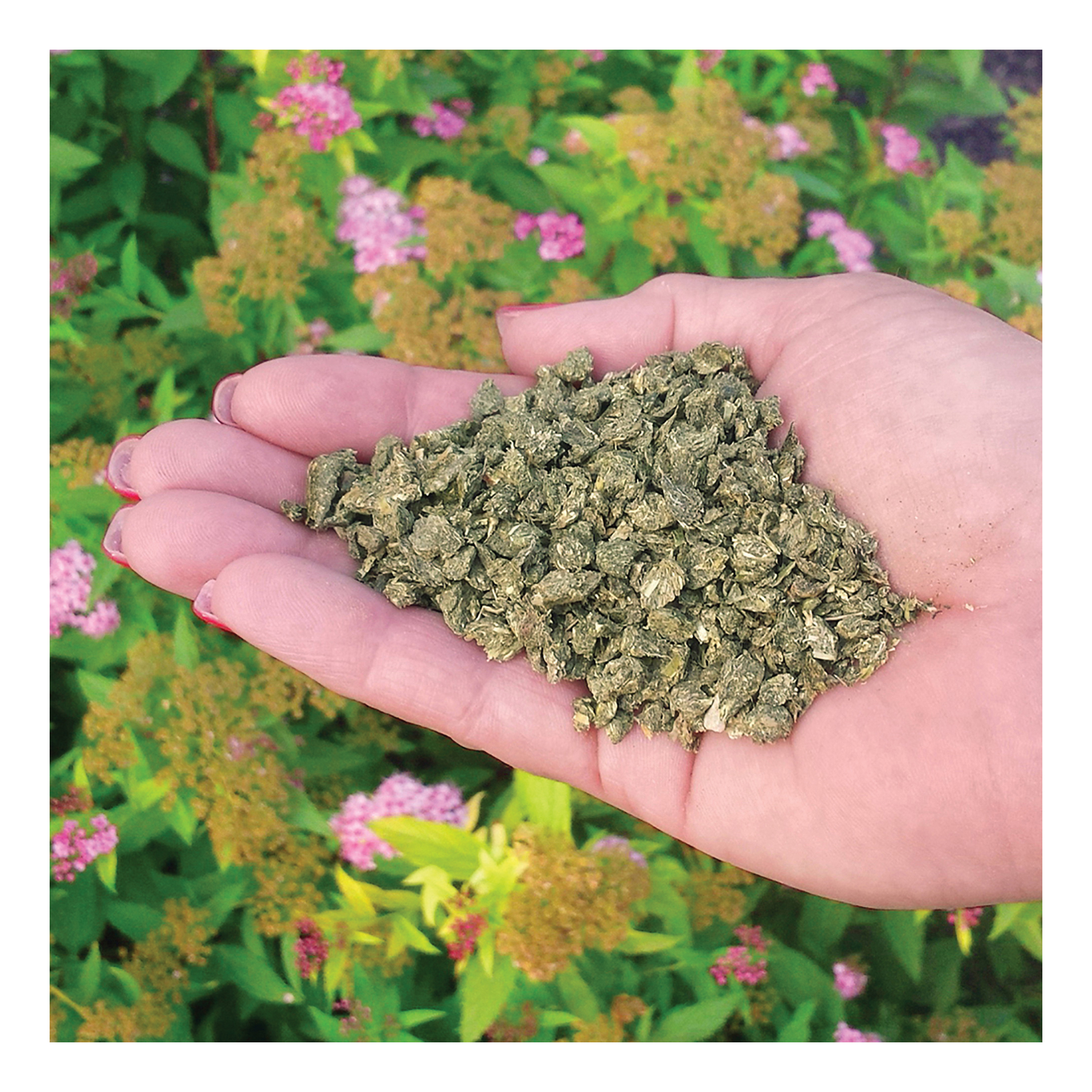 Dr. Earth 736P All-Purpose Fertilizer, 4 lb, Powder, 4-6-5 N-P-K Ratio
