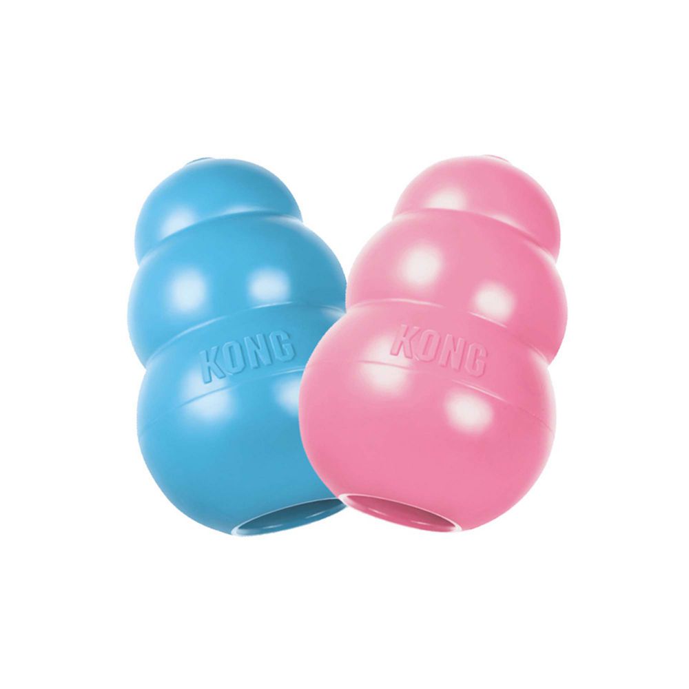 Kong KP1