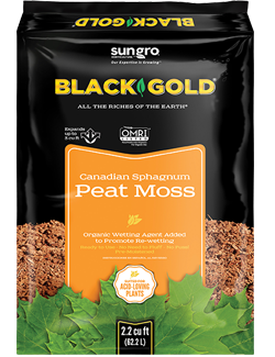 Black Gold 0067313