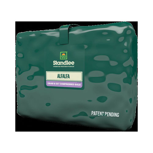Premium Alfalfa 1100-20021-0-0 Horse Supplement, Compressed Bale