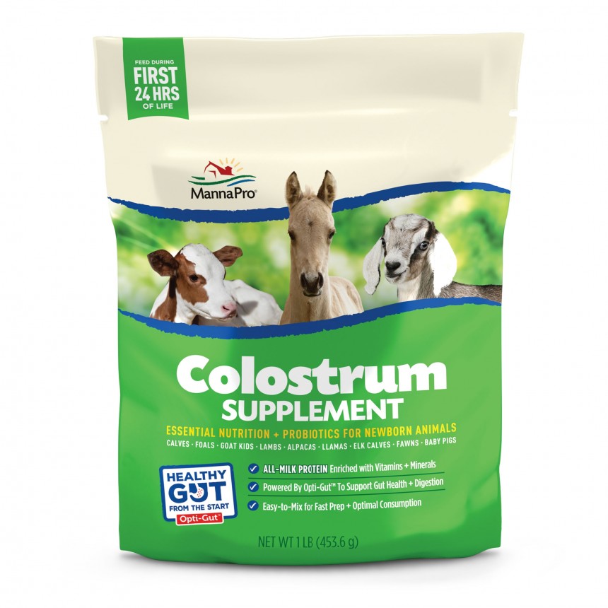 Manna Pro 1000330 Colostrum Supplement, 1 lb