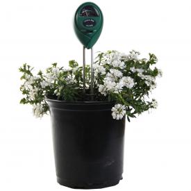 3-Way Meter, Active Air - 3