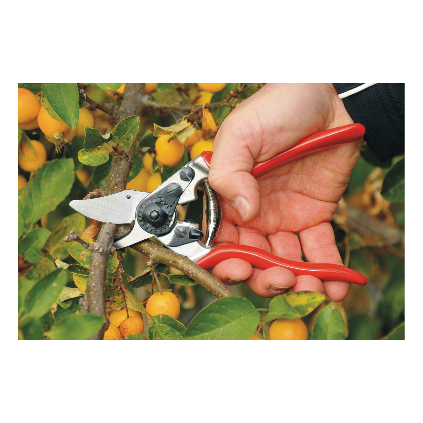 Felco F-6 Pruning Shear, 0.79 in Cutting Capacity, Steel Blade, Bypass Blade, Aluminum Handle - 3